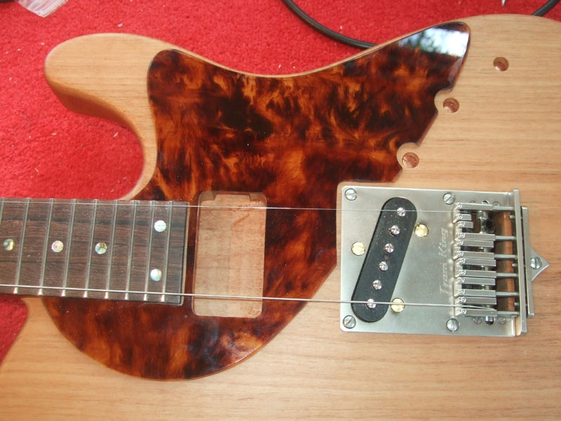 Pickguard in place - and it fits!
